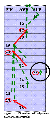Text Box:  
Figure 5. Threading of adjacency pairs and other uptake.




