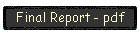 Final Report - pdf