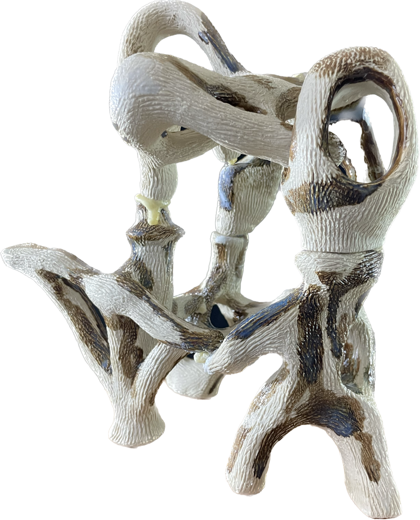 A skull

Description automatically generated