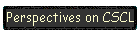 Perspectives on CSCL
