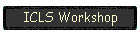 ICLS Workshop