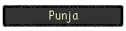 Punja