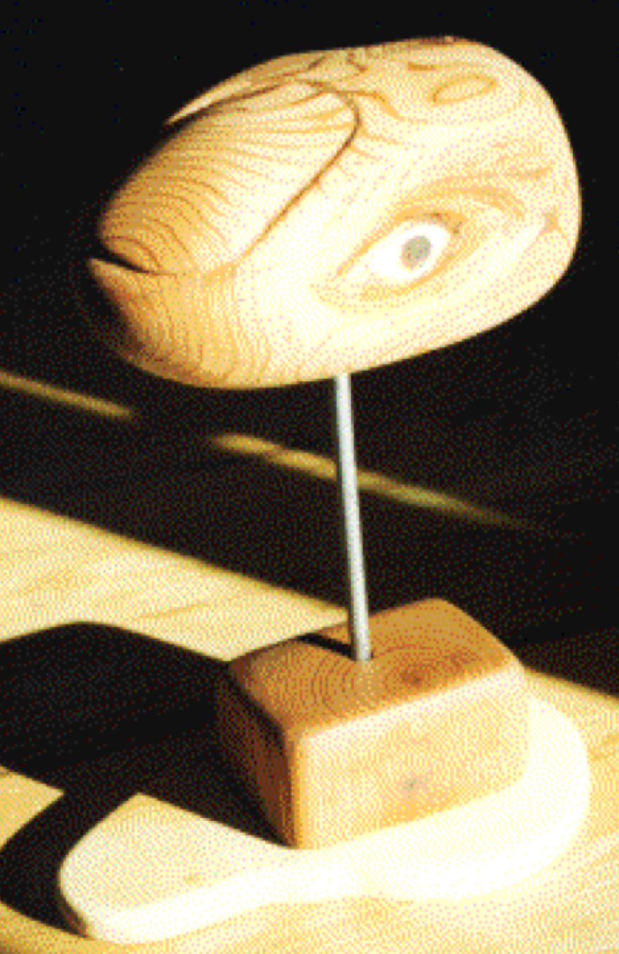 Macintosh HD:Users:GStahl2:Desktop:common senses.png