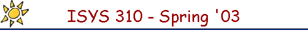 ISYS 310 - Spring '03