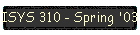 ISYS 310 - Spring '03