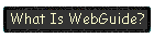 What Is WebGuide?